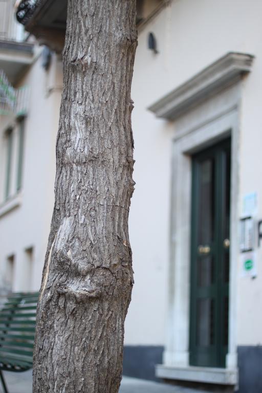 B&B Cernaia 42 La Spezia Exteriör bild