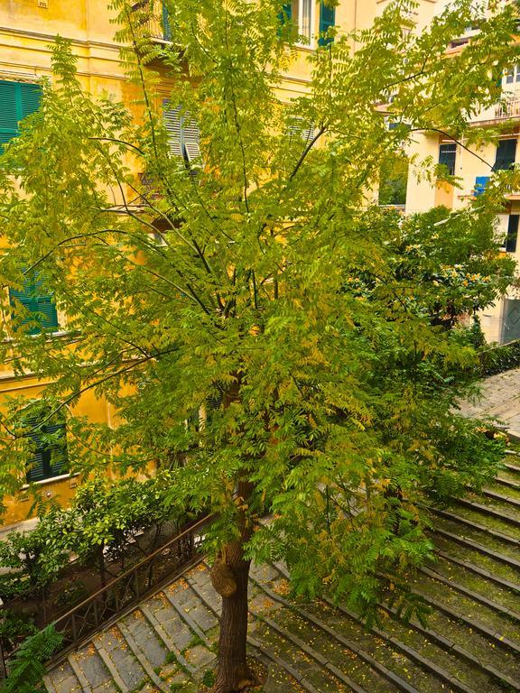 B&B Cernaia 42 La Spezia Exteriör bild